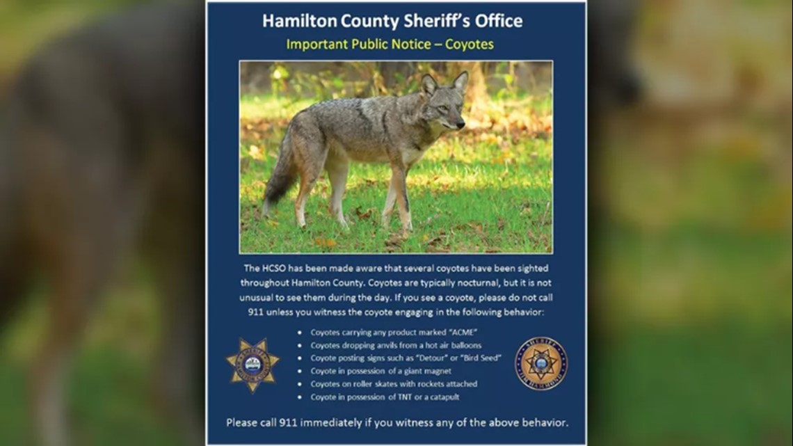 Prescott officials warn of aggressive coyote, at least four people