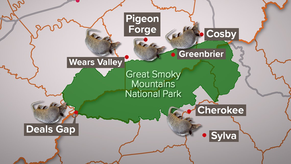 Armadillos spread in East TN; surround Smokies