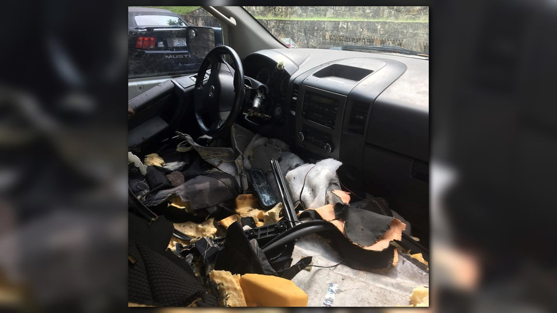 Bear breaks in, destroys Gatlinburg visitor's car after getting stuck ...