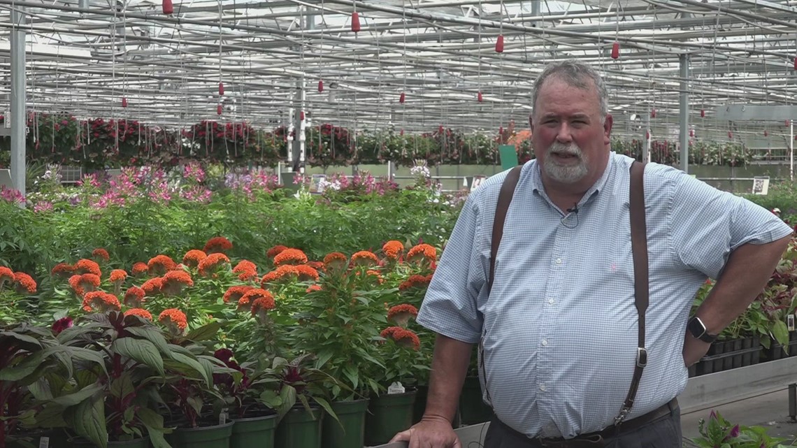 Gardening tips from Neal Denton