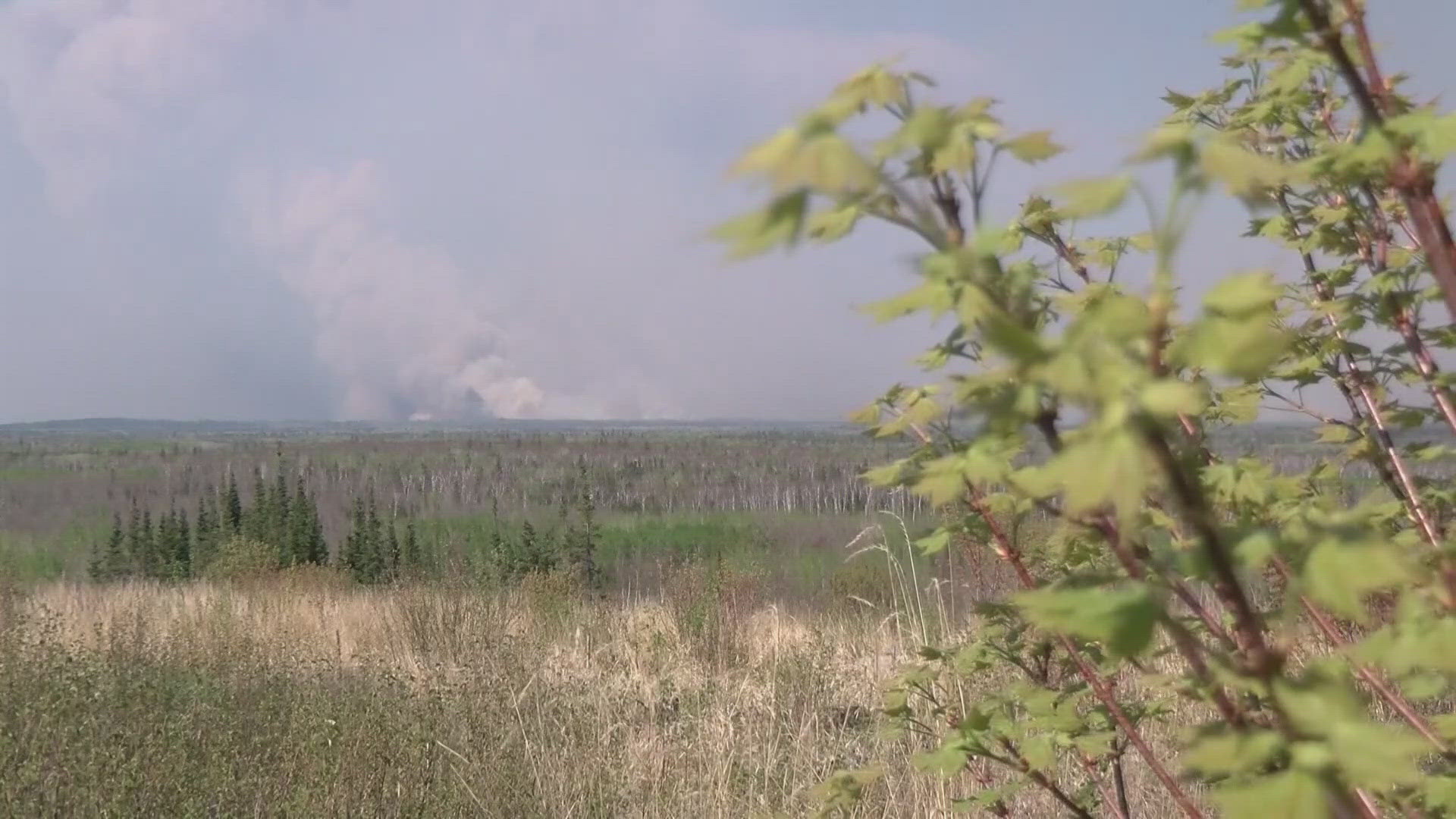 The Cherokee Hotshot crew from Tennessee fights wildfires in Minnesota, aiding efforts to contain nearly 20,000 burned acres with expertise and strength.