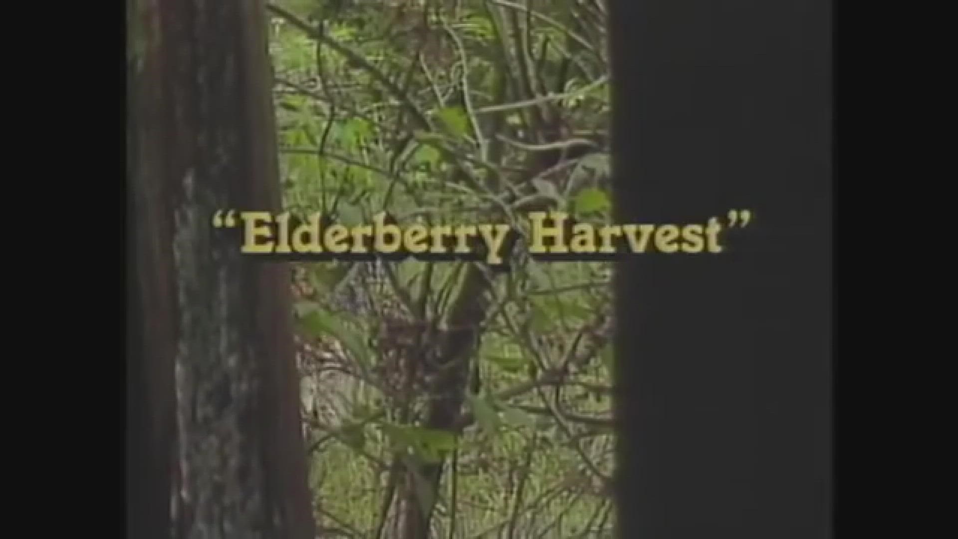 WBIR Channel 10's 'The Heartland Series' hosted by Bill Landry aired from 1984 to 2009. We hope you enjoy these captivating windows into East Tennessee history.