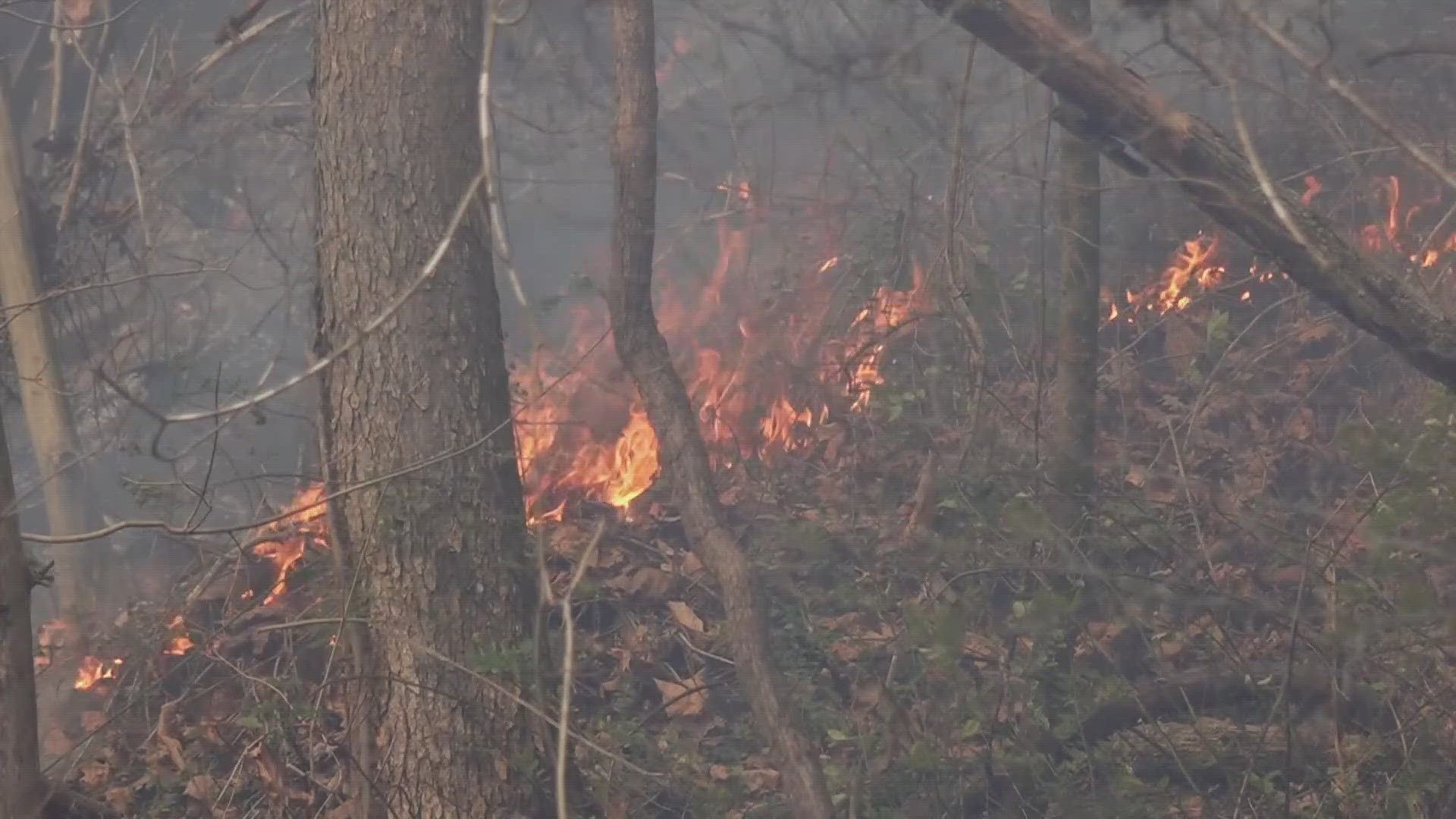 One of the fires, located in Yocum Creek, has spread to 1,500 acres and is only 25 percent contained.