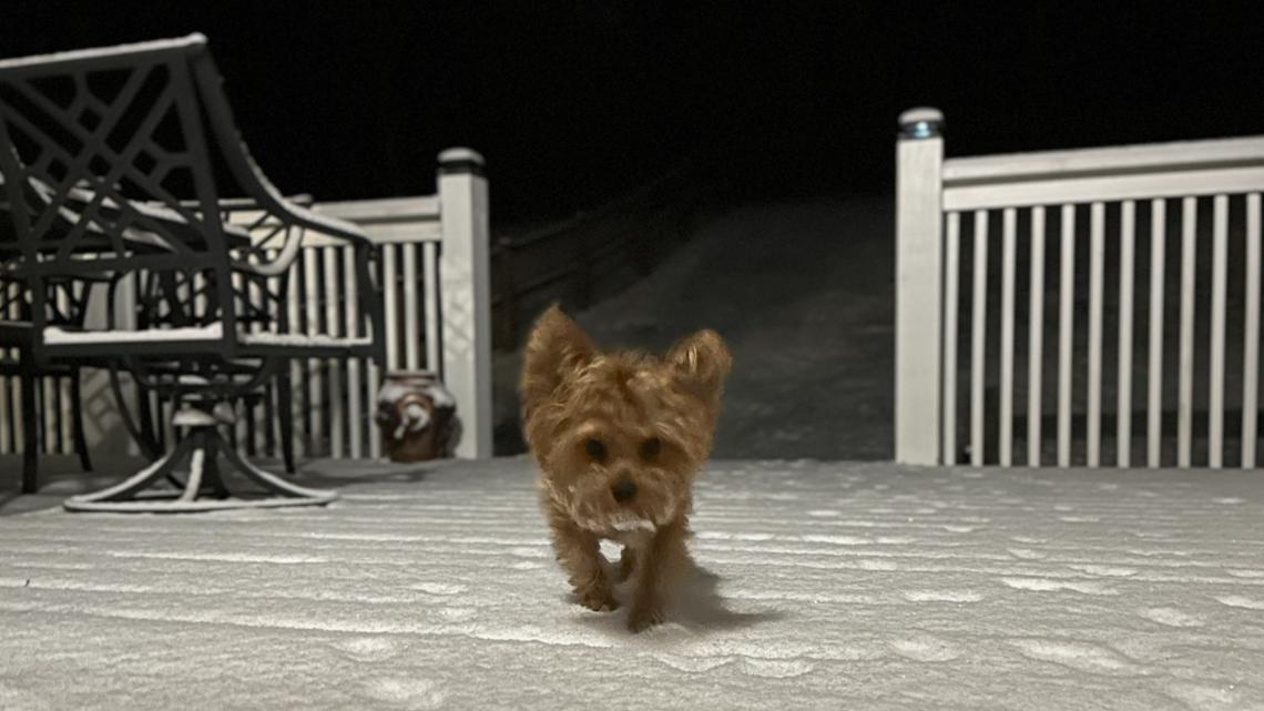 East Tennessee Snow Day Pictures Jan 15 2024 Wbir Com   5b92420f D716 4307 A661 12bdf9e5eb14 1140x641 