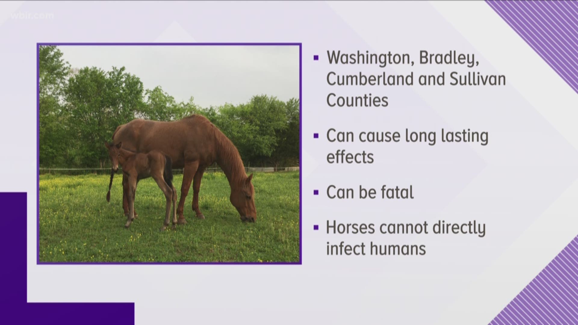 State leaders say there are five new cases of West Nile virus in horses.