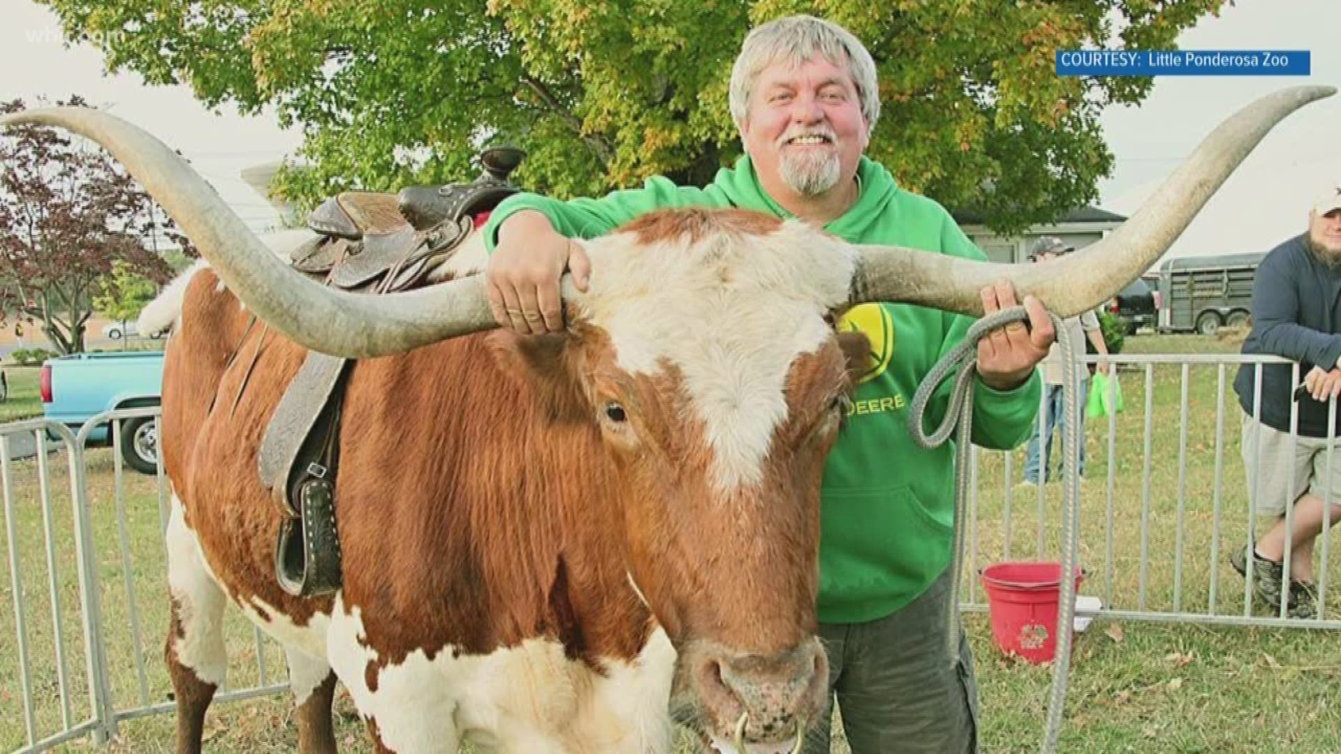 Buster, who was the mascot at Anderson County High School  and appeared on tv shows and music videos, has died. The longhorn steer was believed to be 34 years old.