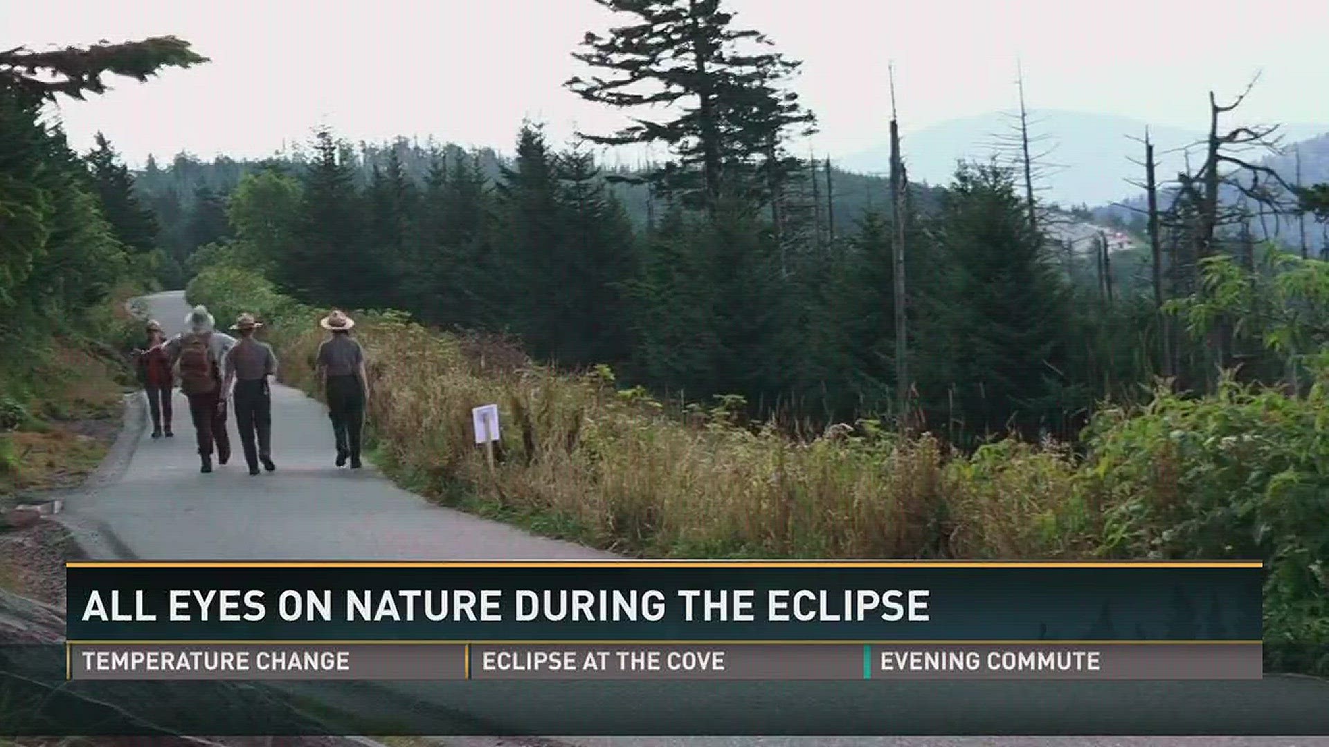 Aug. 21, 2017: 1,500 people watched the total solar eclipse at Clingmans Dome in the Great Smoky Mountains.