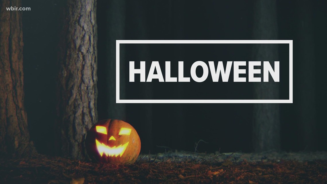 Appalachian Paranormal Investigations reveal the reality behind ghost hunting in East Tennessee. - Vimarsana News