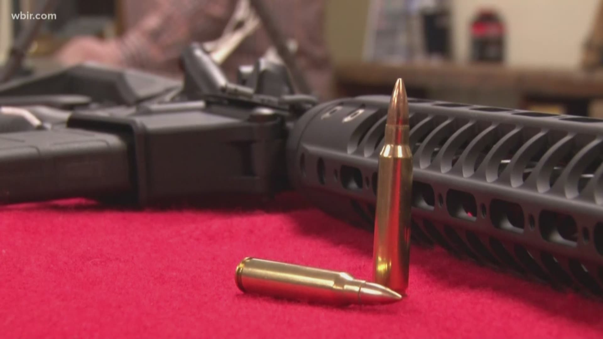 Blount County is now the second county in Tennessee to become a Second Amendment sanctuary. It is a symbolic move by commission, but supporters say it sends a message that Blount County will protect citizens from tighter gun laws.
