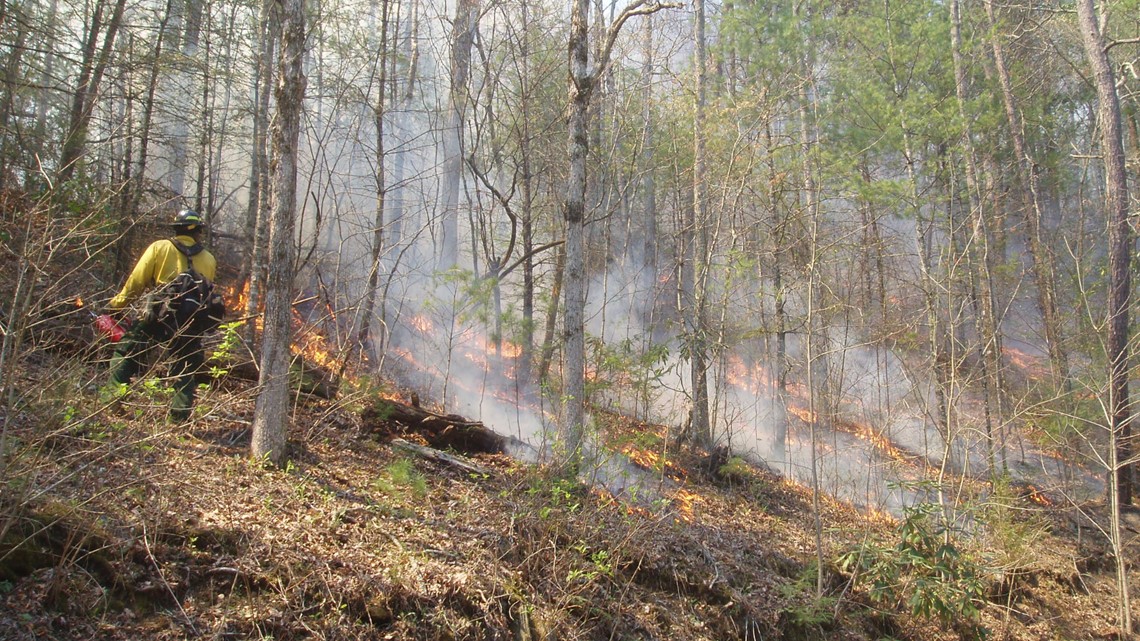 Experts share tips for burning safely as conditions remain dry in East Tennessee - Vimarsana News