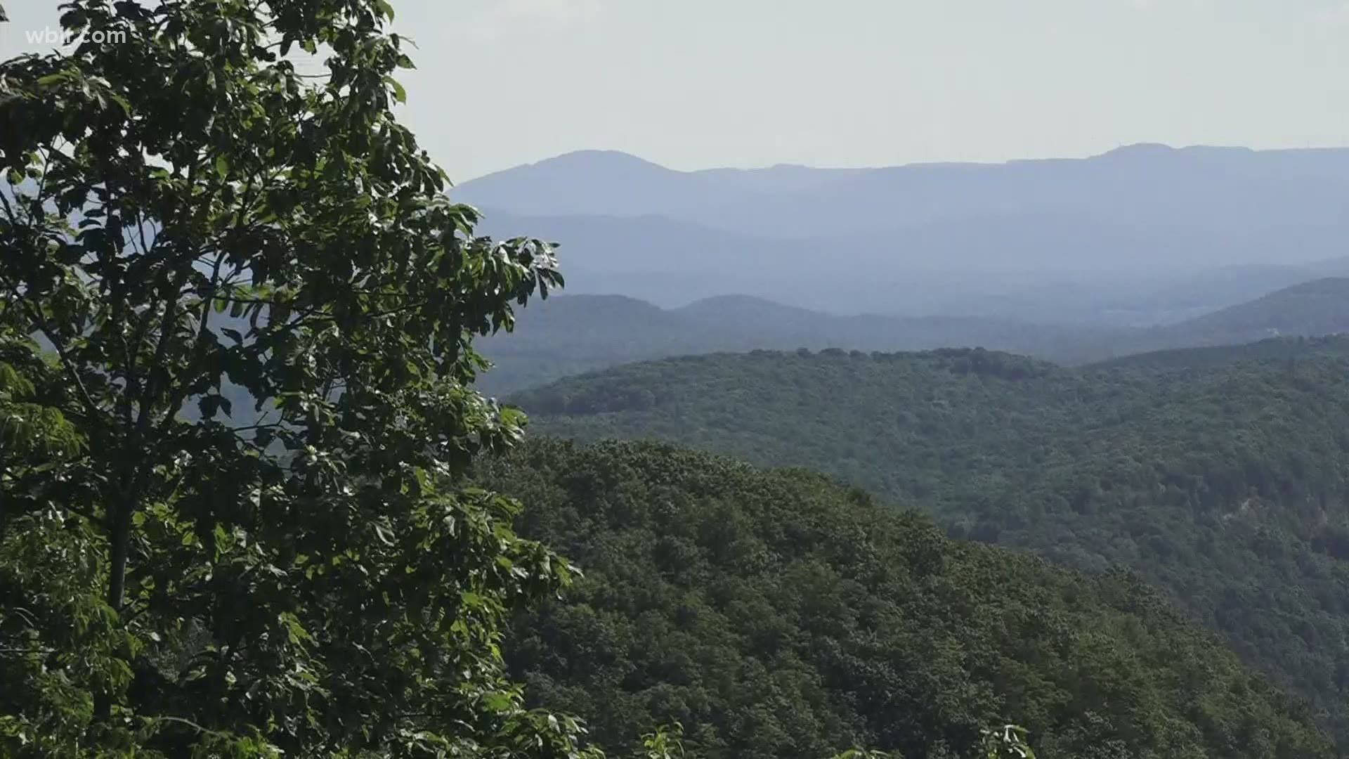 Shannon Smith has been enjoying the day here in the Crossville area. We sent her out to find the best hiking spots and scenic views in this part of the plateau.