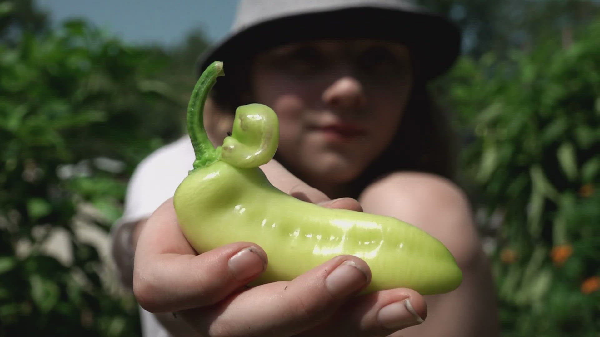 The Community Garden Project is run by a family with kids on the autism spectrum. The sensory experience helps teach the kids, who harvest produce for food pantries.