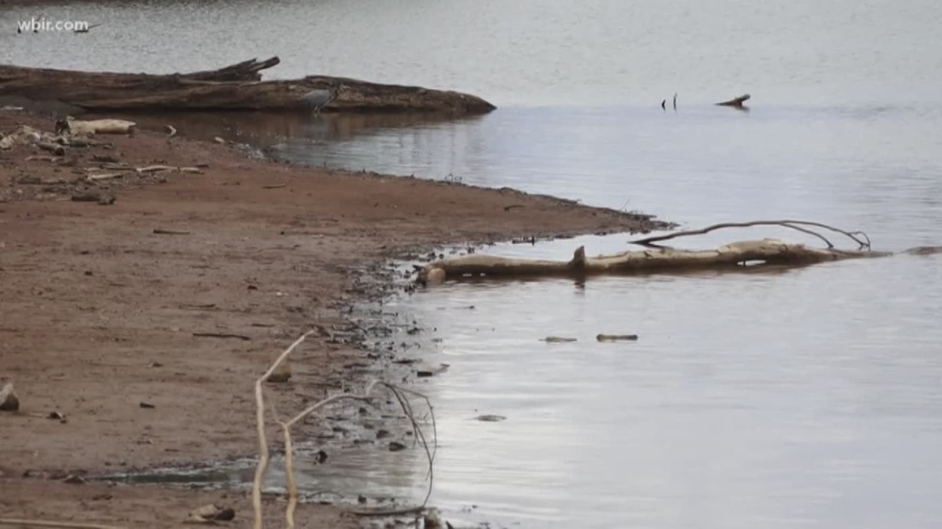 Experts say widespread flooding in February may have washed up new evidence that led to the discovery of two bodies in East Tennessee.