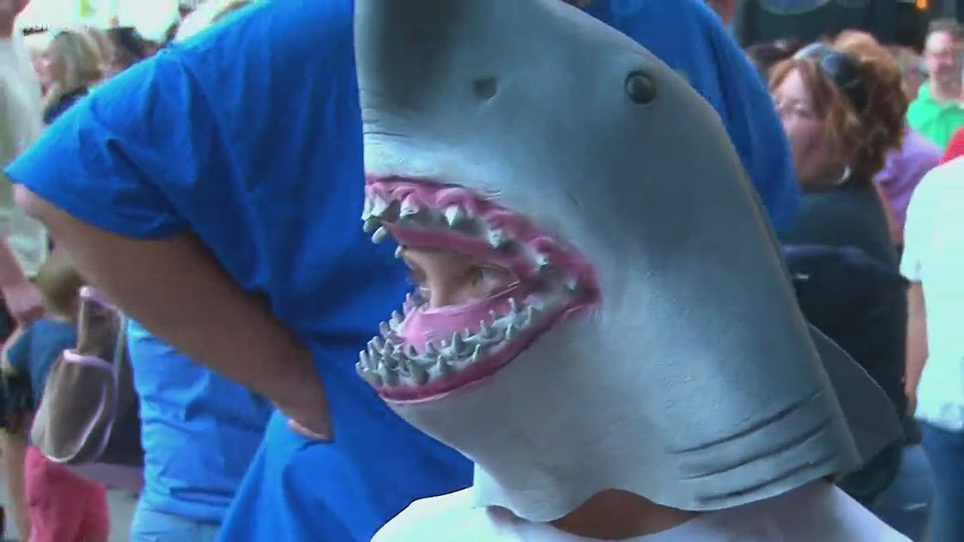 Hundreds of people came out to play shark themed games, get shark tattoos, watch a never before seen shark week special.