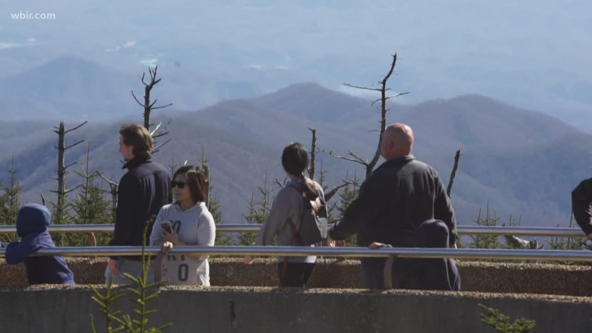 Clingmans Dome Road opened for the season on Saturday.
