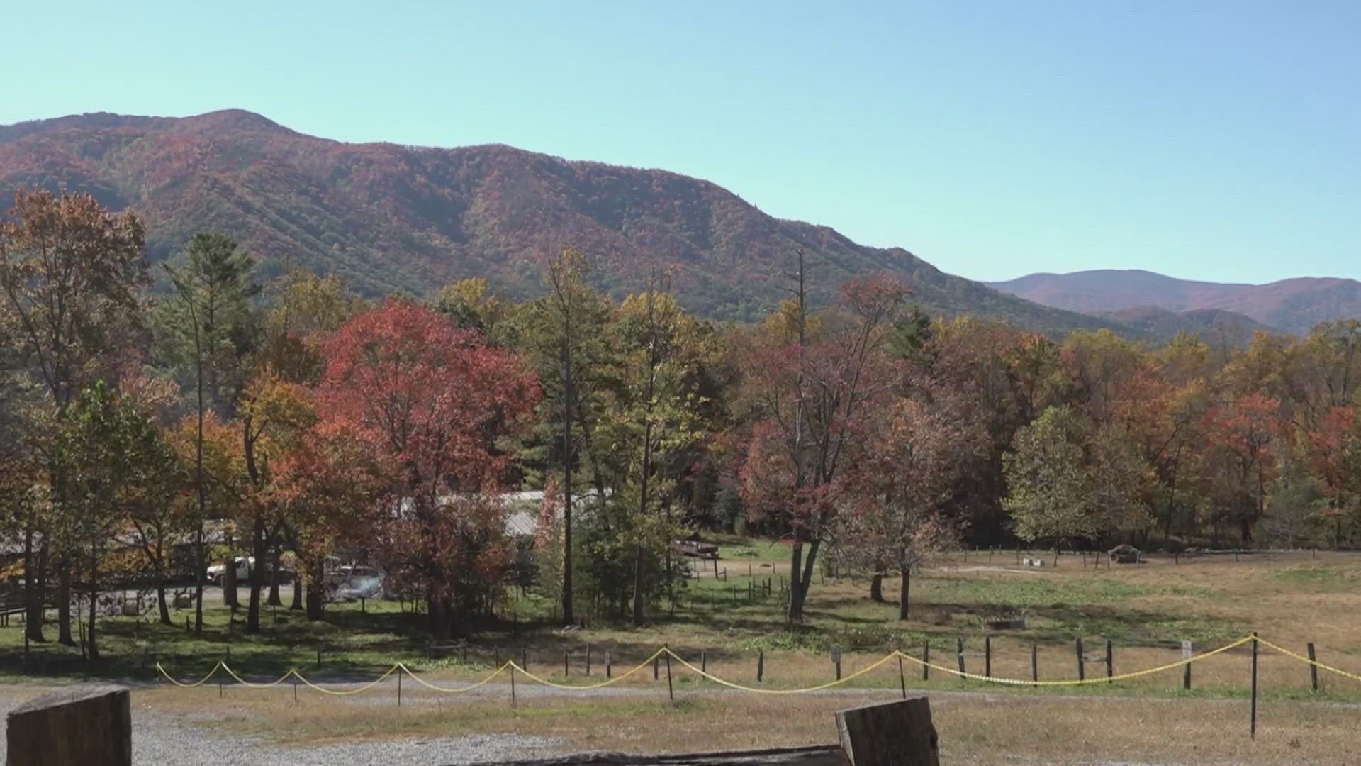 The GSMNP gains a lot of traction as leaves begin to change, with many people coming from out of state.