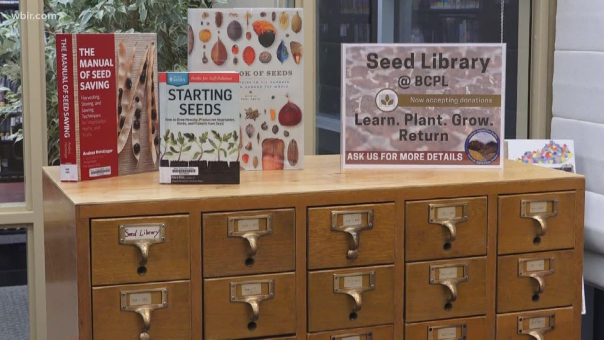 You can now borrow seeds from the library to grow at your home.