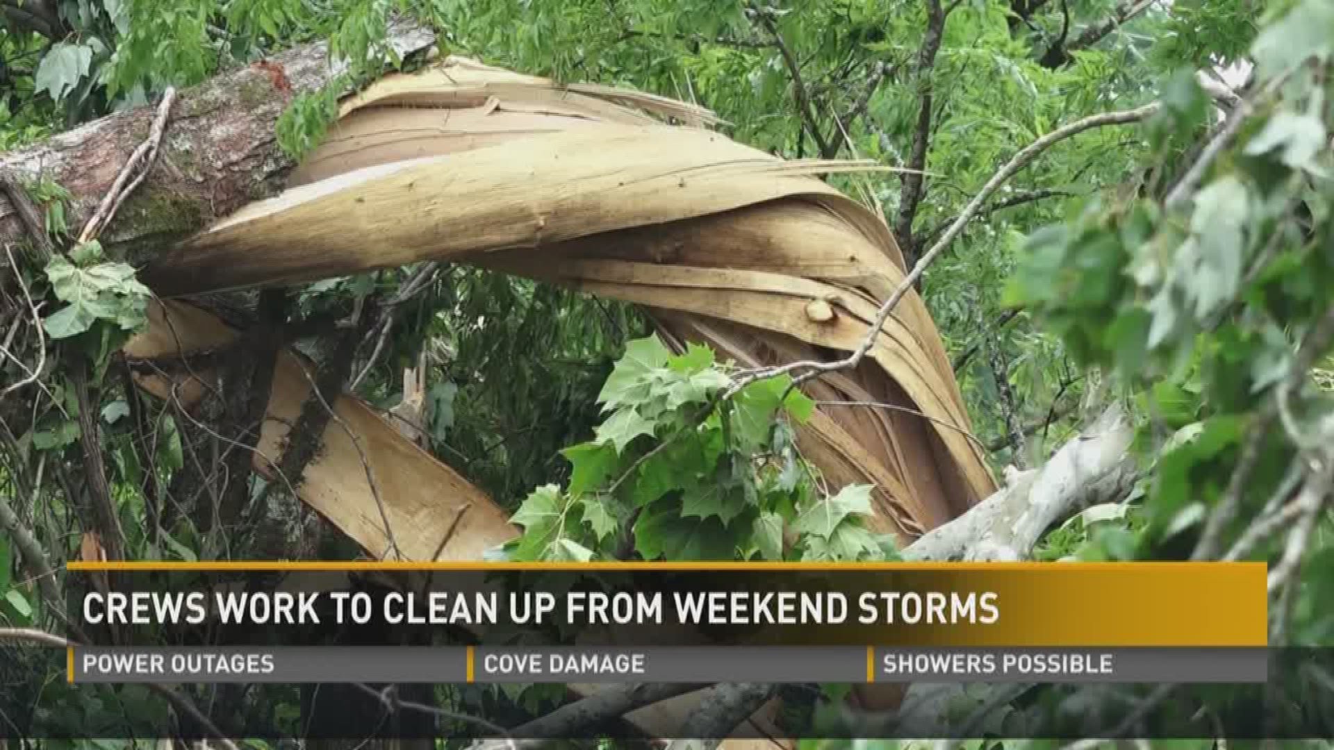 Two days after the severe wind storm caused damage across East Tennessee, residents are still cleaning up and power crews are still trying to get electricity back on.