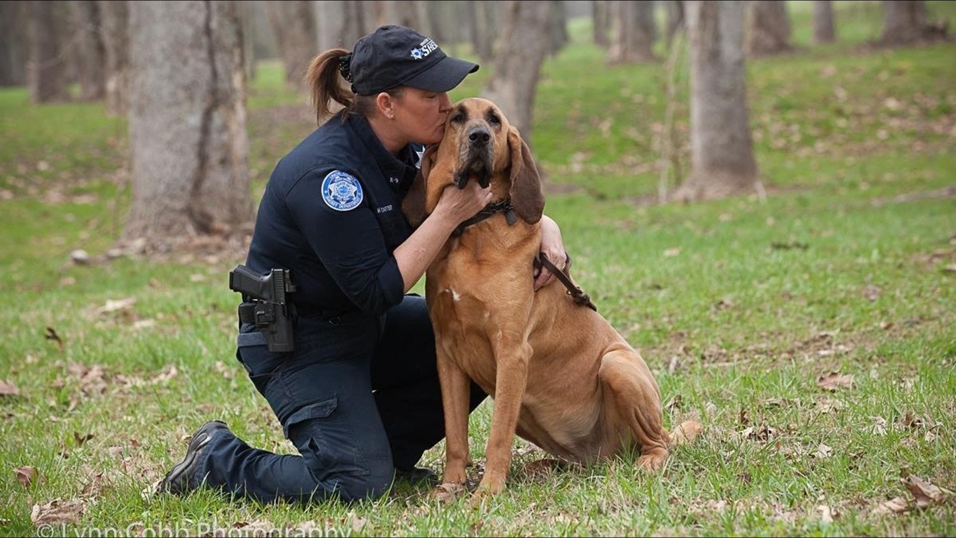 'She loved finding people' | K-9 bloodhound Josey mourned after sudden ...