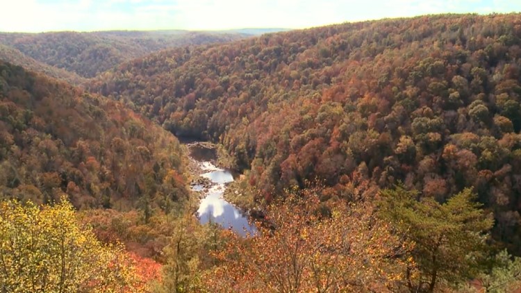 2016 Big South Fork Fall Colors Foliage