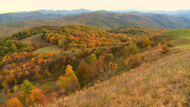 Max Patch Fall Colors 2013