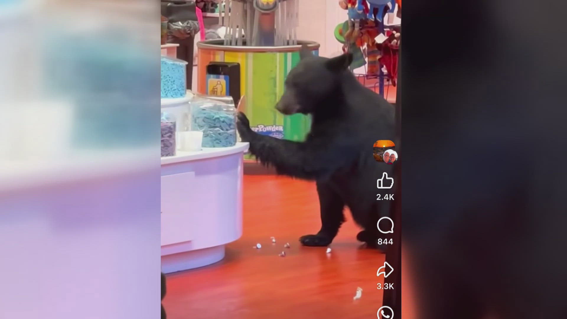 A bear entering a candy store in Gatlinburg has caught people's attention, but wildlife experts warn it highlights a serious problem.