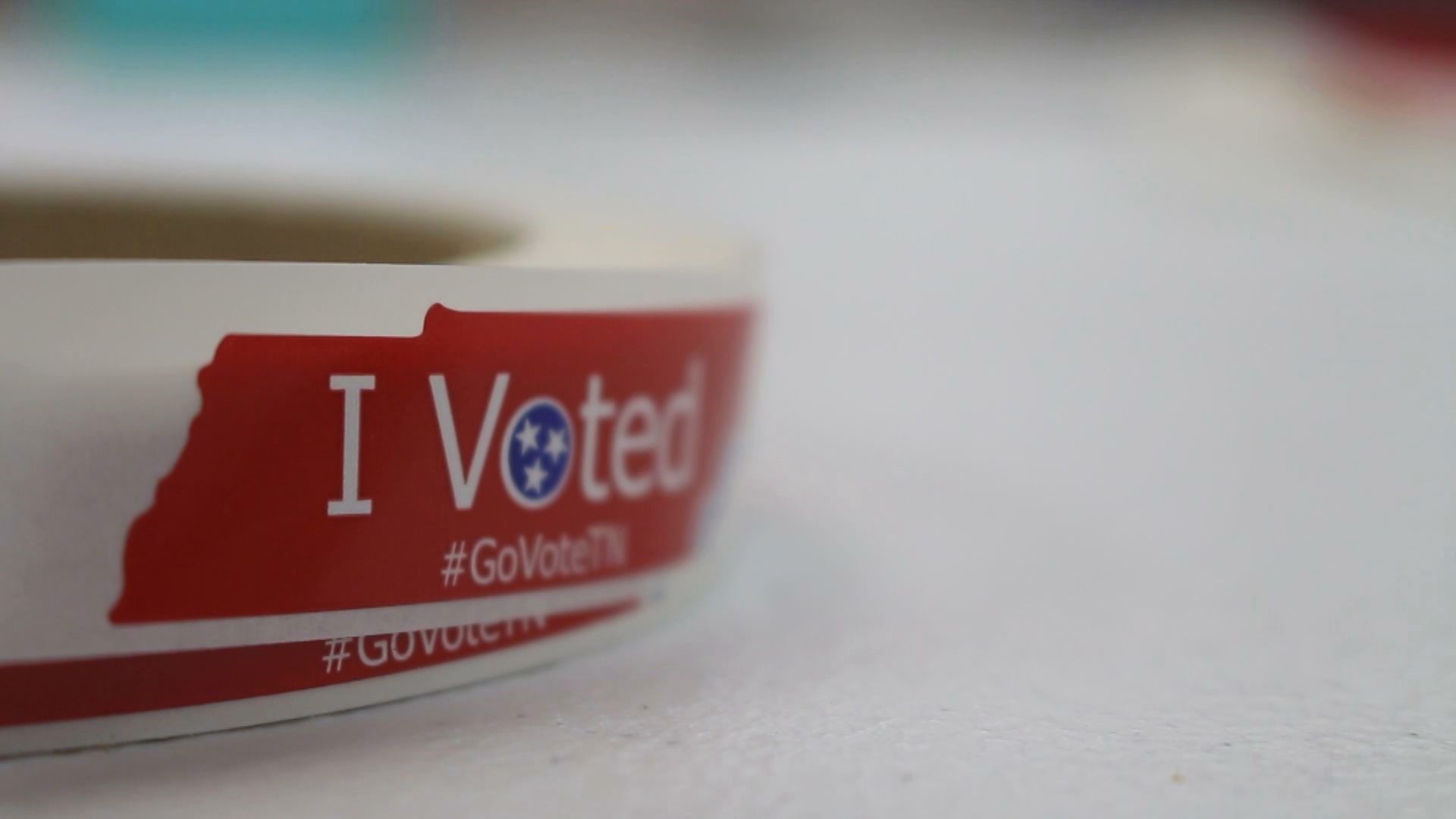 Knox County earlyvoting turnout down compared to busy 2018; Election