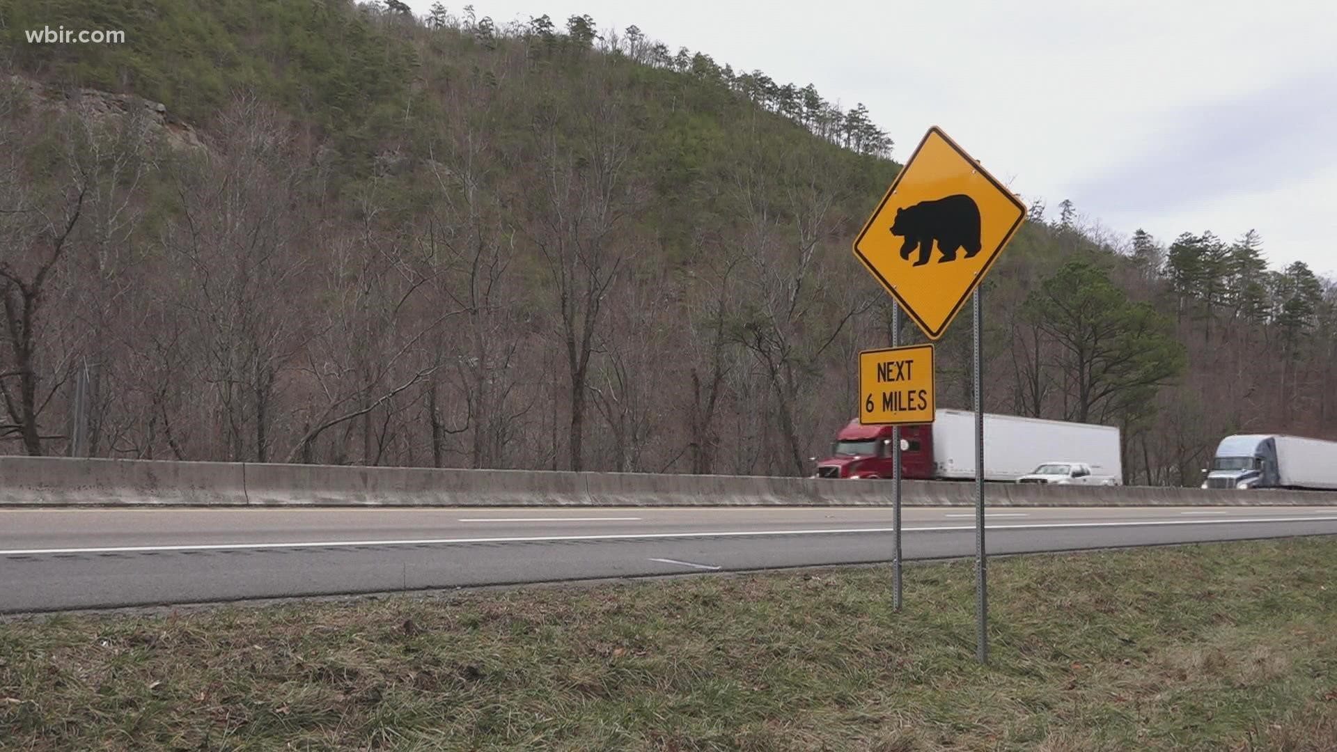 I-40 is getting a wildlife underpass near the Pigeon River Gorge. It may save lives, but in the meantime, it will cause major detours for drivers.