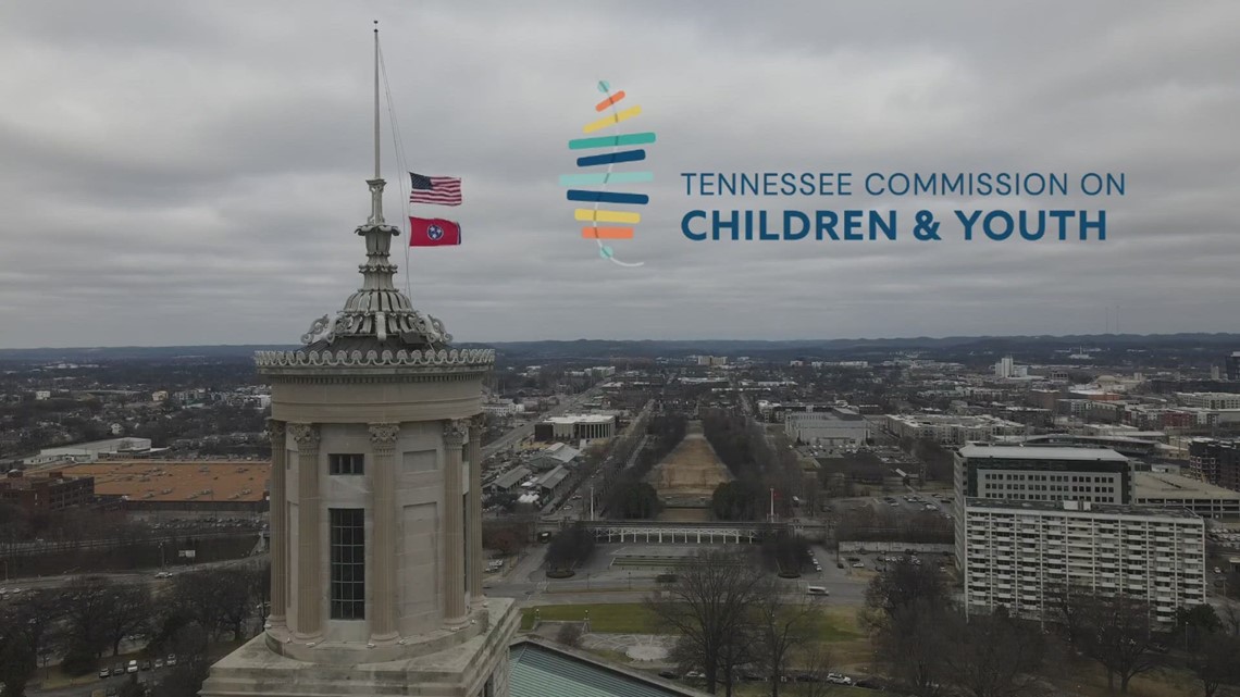 Report: Tennessee ranks top 10 in child suicide by gun - Vimarsana News
