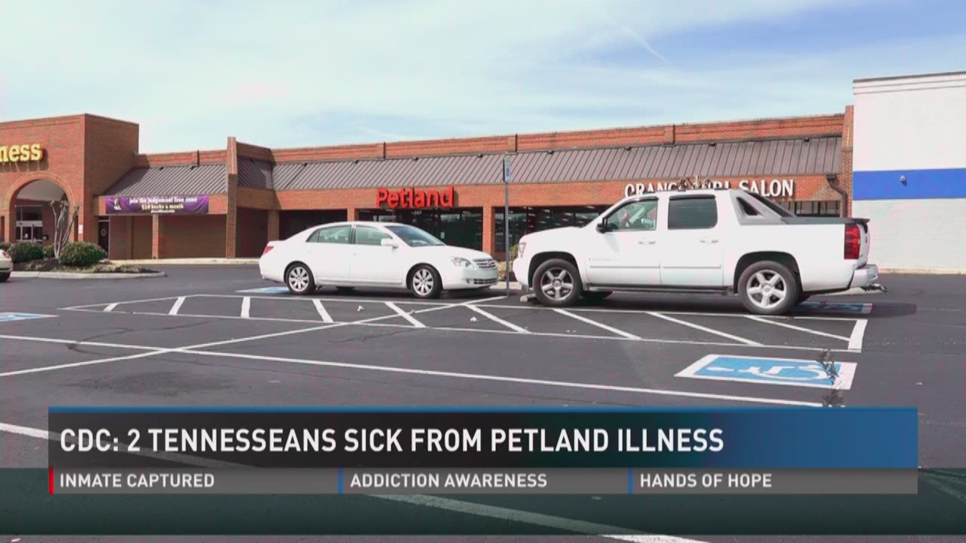 Oct. 5, 2017: The CDC says two people in Tennessee are sick after coming in contact with puppies at the Petland pet store.