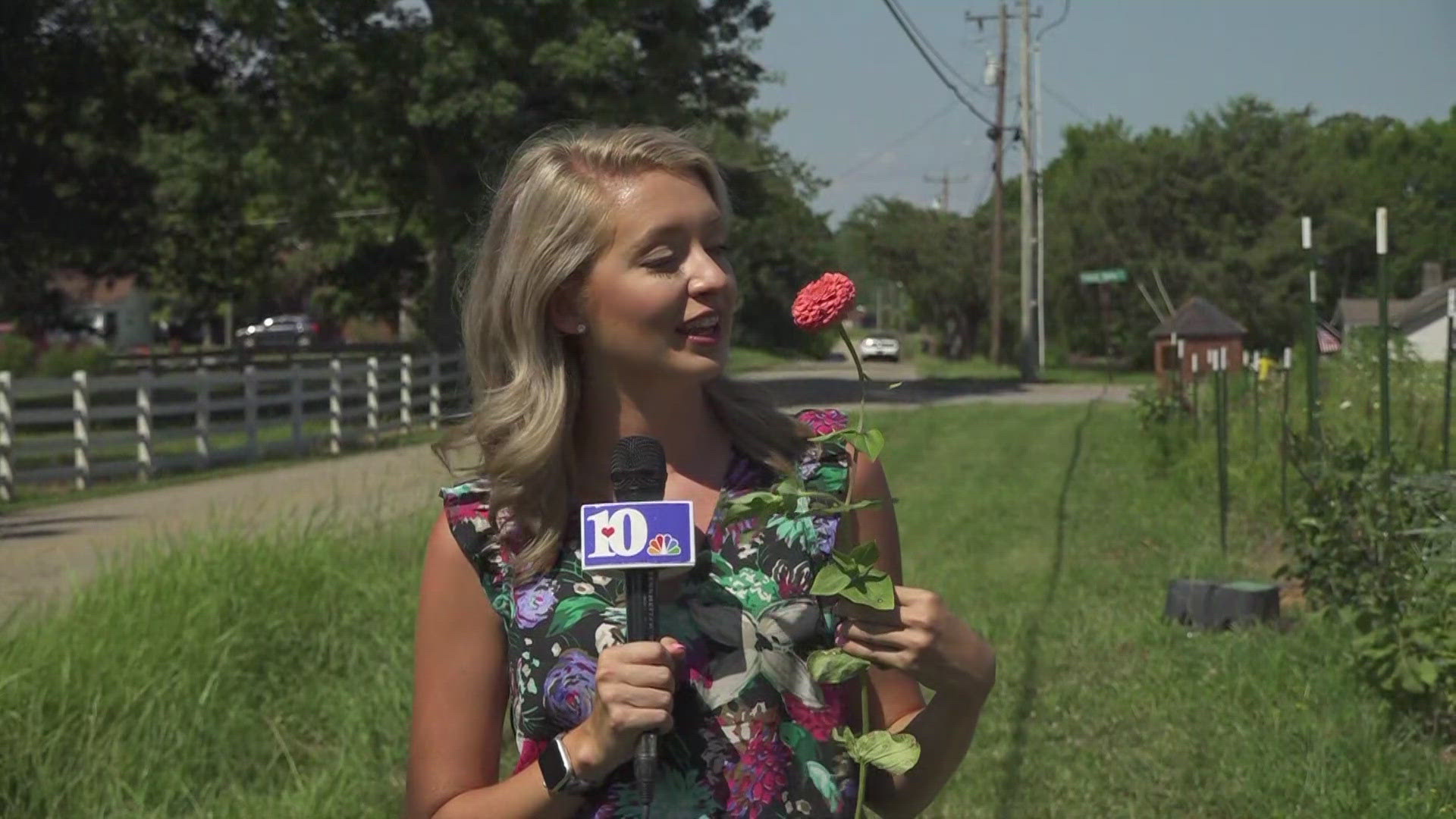 For this Maryville famr, it's all about planting the seed and watching it grow.