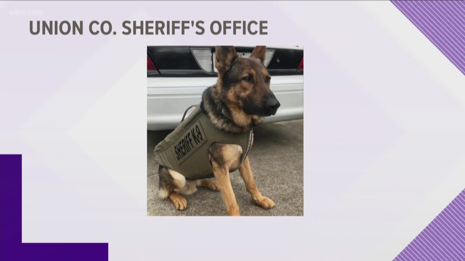 In October, the Union County Sheriff's Office lost their 7-year-old bloodhound, Josey. An anonymous sponsor paid for a K-9 vest for the department in her honor.