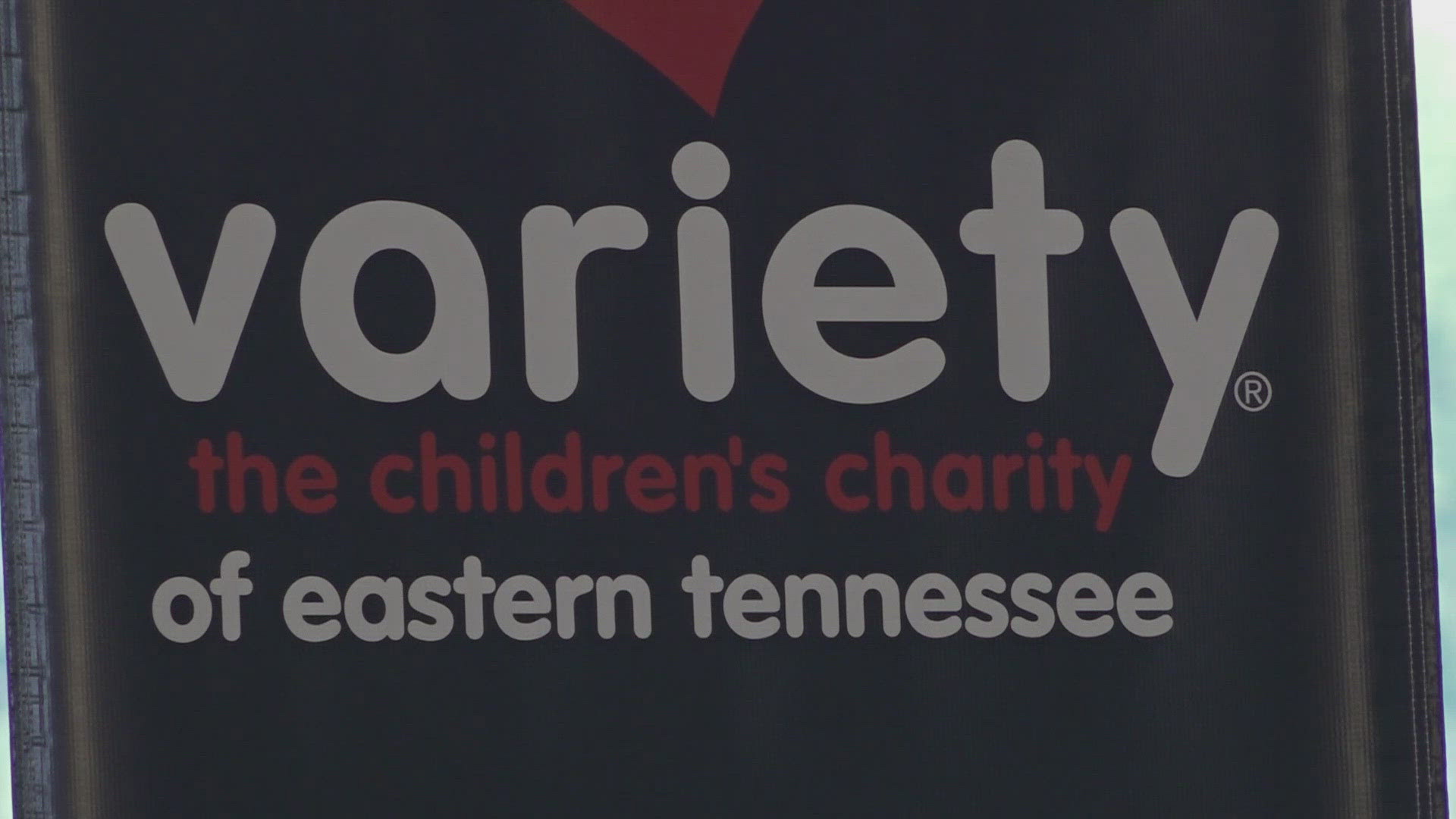 These organizations serve at-risk children and children with special needs.