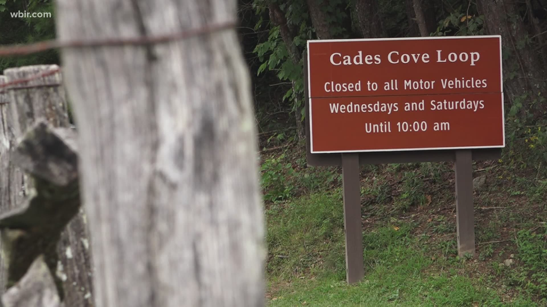 Bicyclist dies after weekend crash in Cades Coves