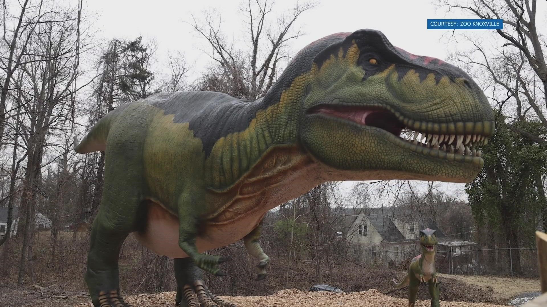 Zoo Knoxville is bringing the dinosaurs back to life for an amazing chance to see some of Earth's first creatures walk among us.