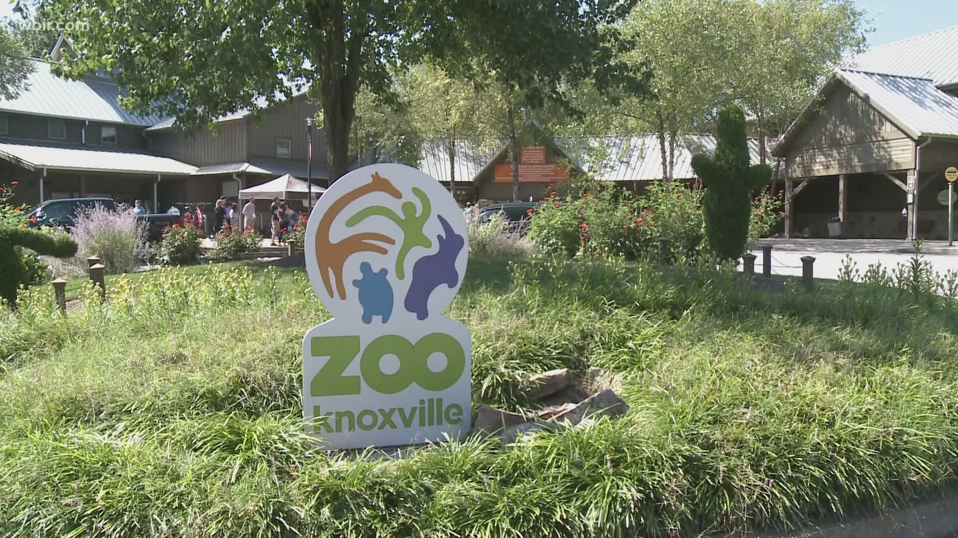 This month Zoo Knoxville will kick off a new "Craft Bear Night" event.