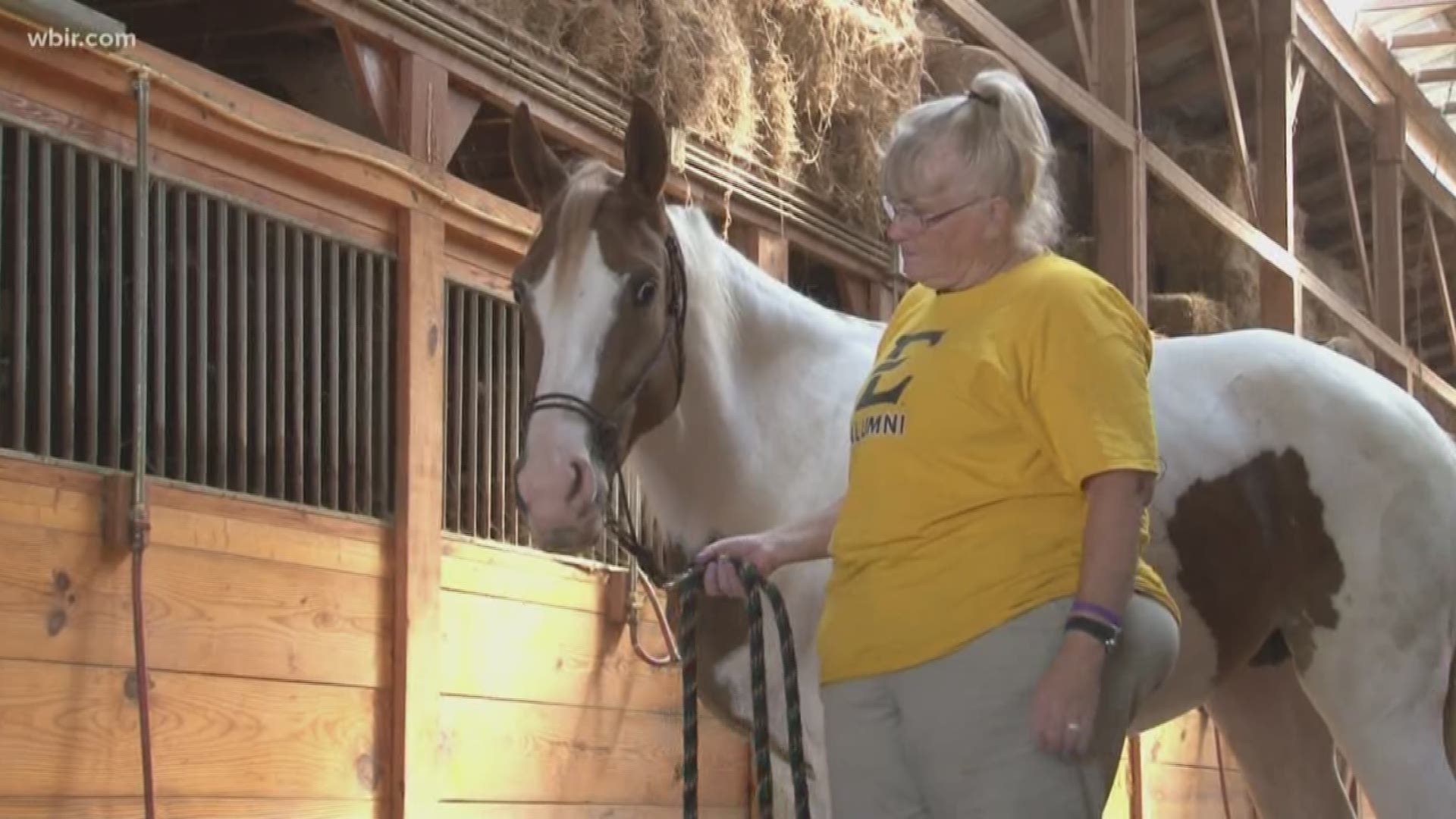 Horse Haven of Tennessee specializes in giving injured and abused horses a new life.