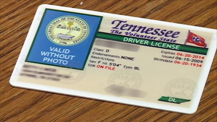 tennessee state driver license duplicate online tennessee state driver license duplicate online