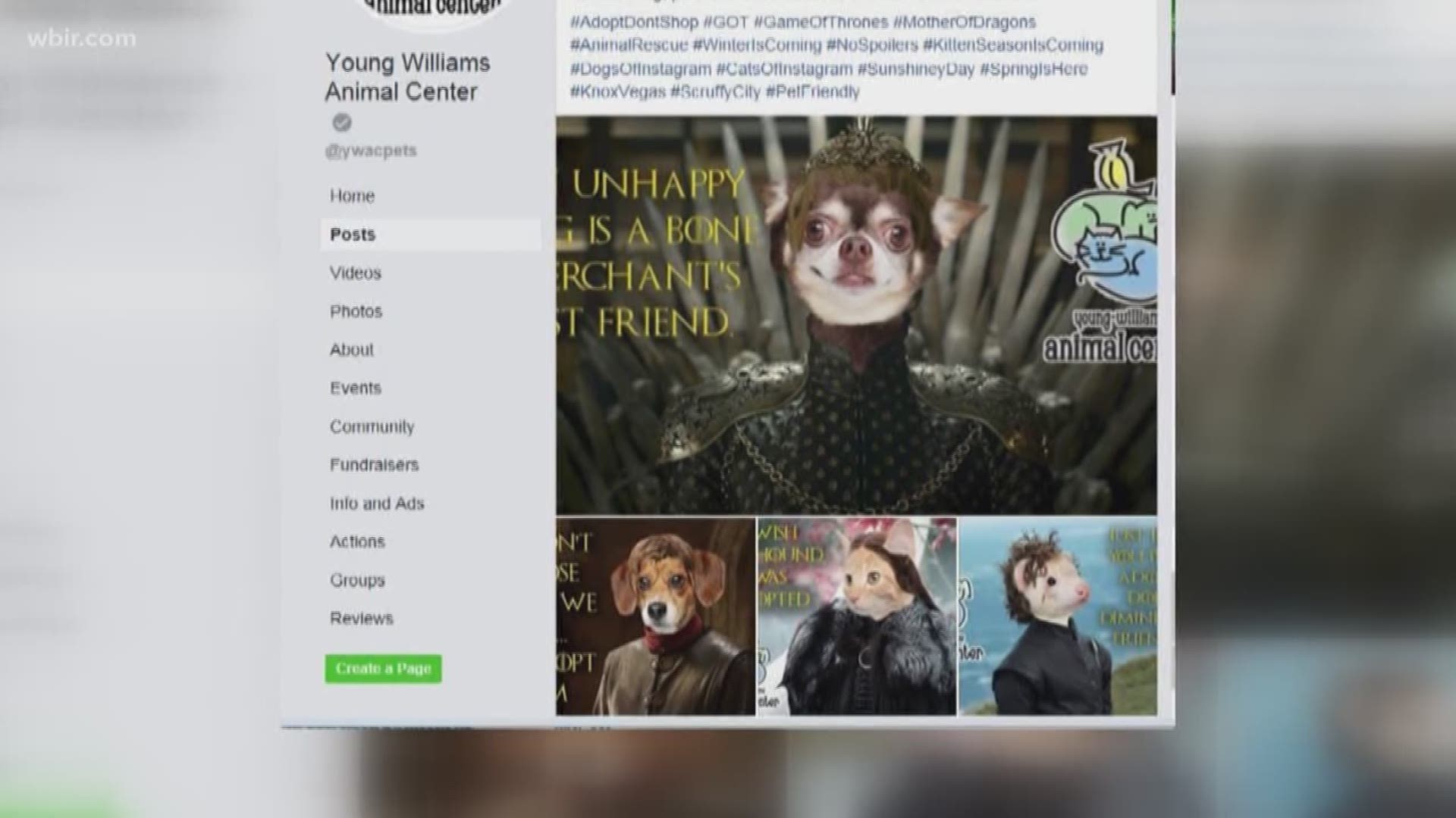 Young-Williams Animal Center celebrated the final season of "Game of Thrones" with a little fun.