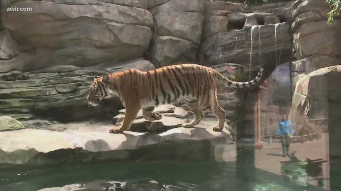 Zoo Knoxville exhibit ranked nationally