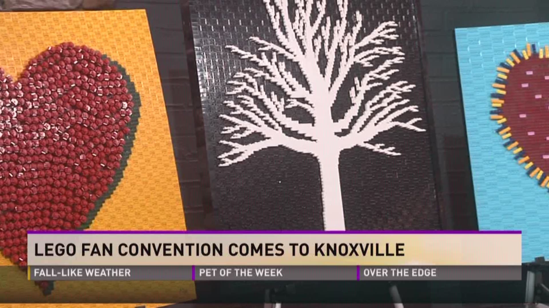 Lego fans are taking over the Knoxville Convention Center this weekend! One of the main attractions- this man's work. Jonathan Lopes is a professional Lego Artist from San Diego in town for the weekend.