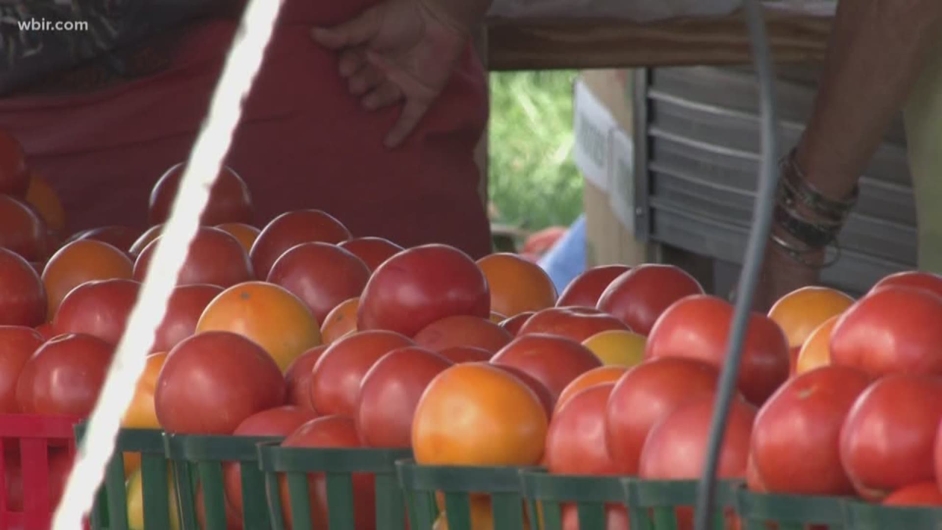 The Grainger County Tomato Festival will continue through Sunday, July 29.