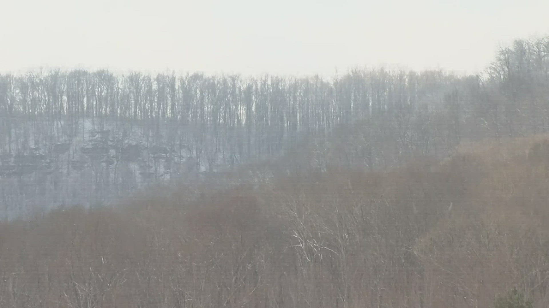 The woman was hiking alone when she fell off a cliff and survived a frigid Kentucky night.