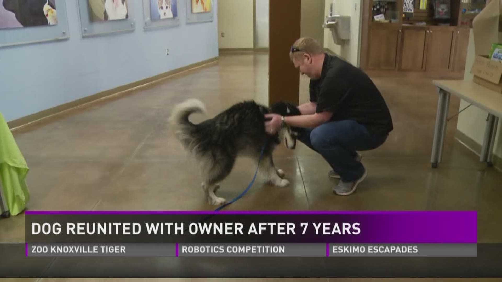 Dog reunited with owner seven years after disappearing | wbir.com
