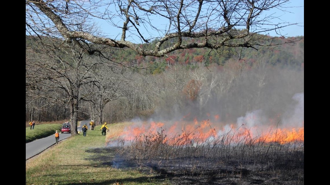 Prescribed burn planned for Cades Cove