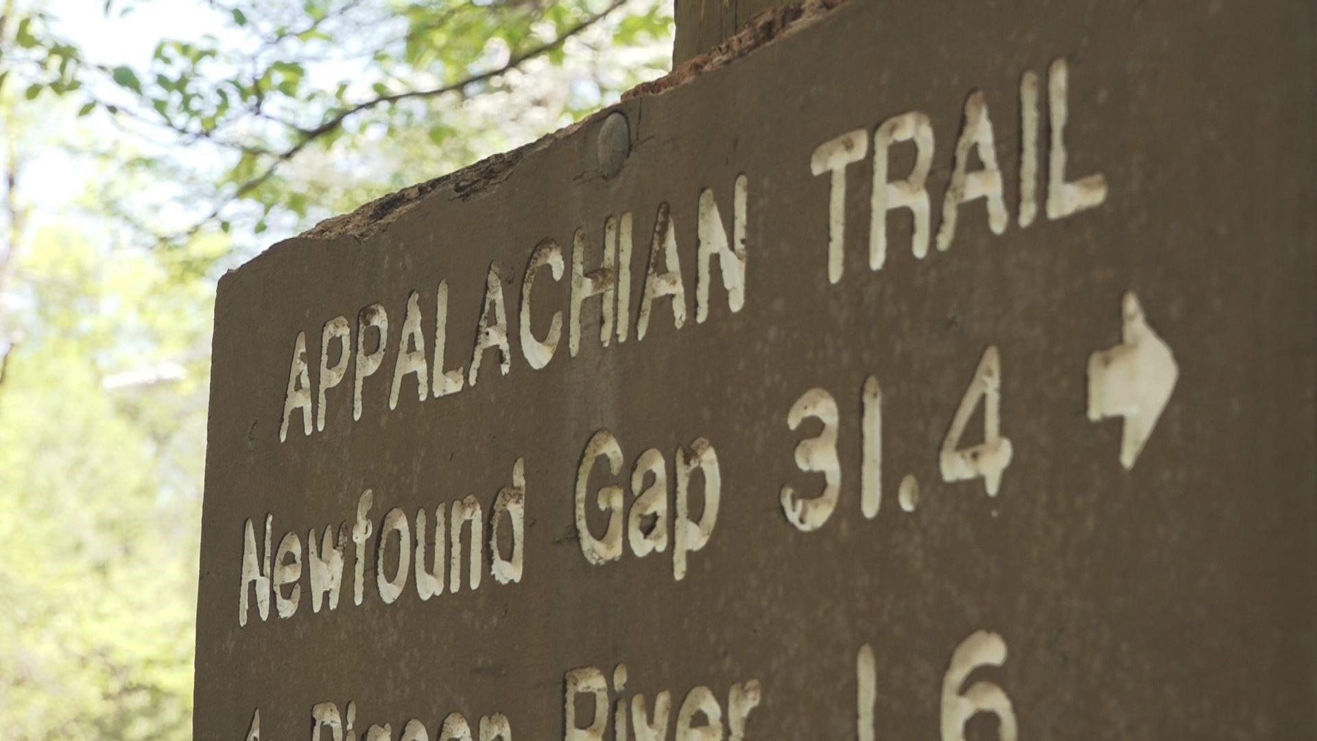 A recent assault arrest on the Appalachian Trail prompted a conversation about safety on the hike. Guns are allowed on some portions of the trail, but many hikers are more worried about wildlife than fellow hikers.