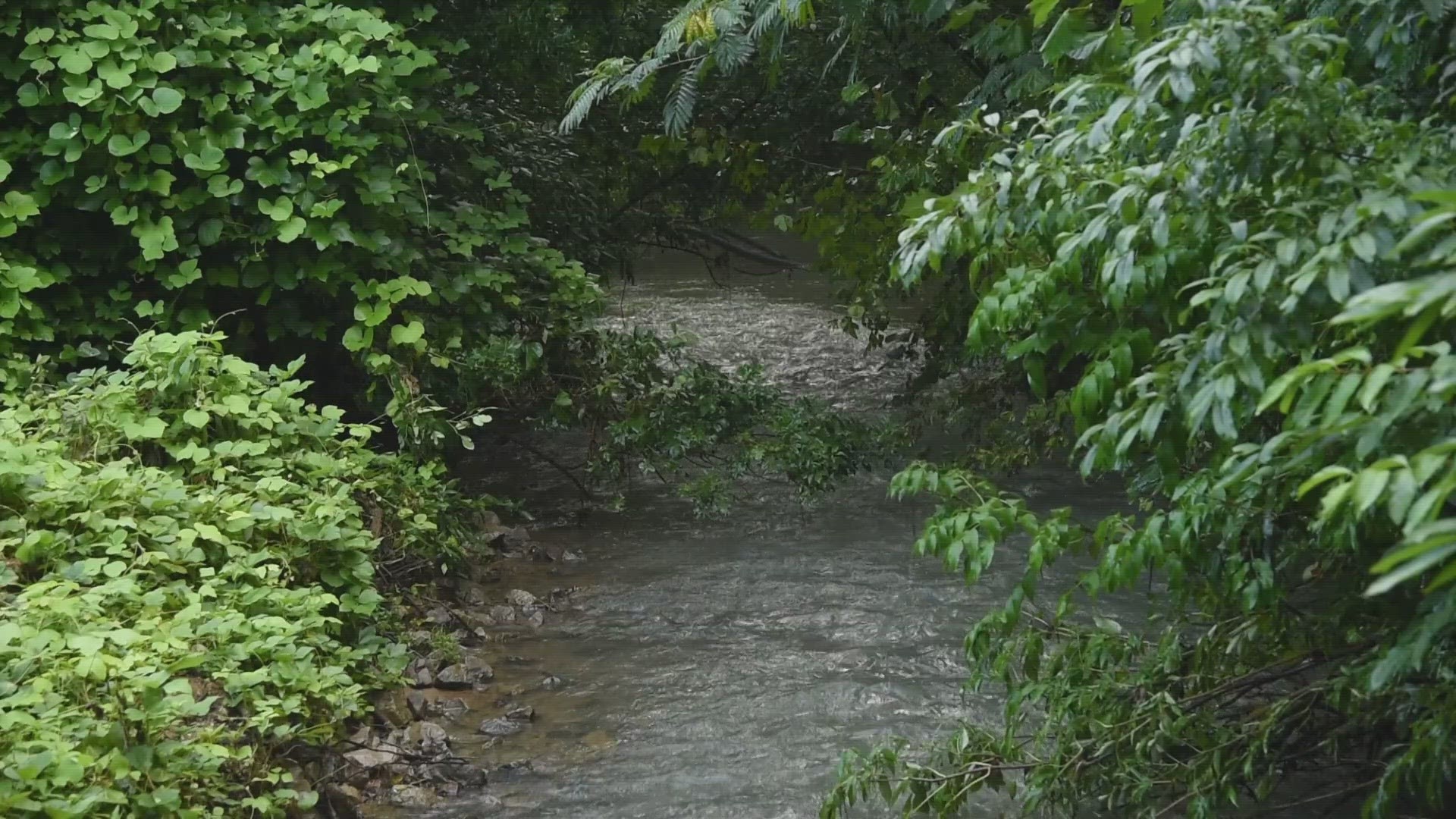 The city will start repaving about a mile and a half of the Third Creek Greenway. Crews are working on the area between Tyson Park and the greenway.