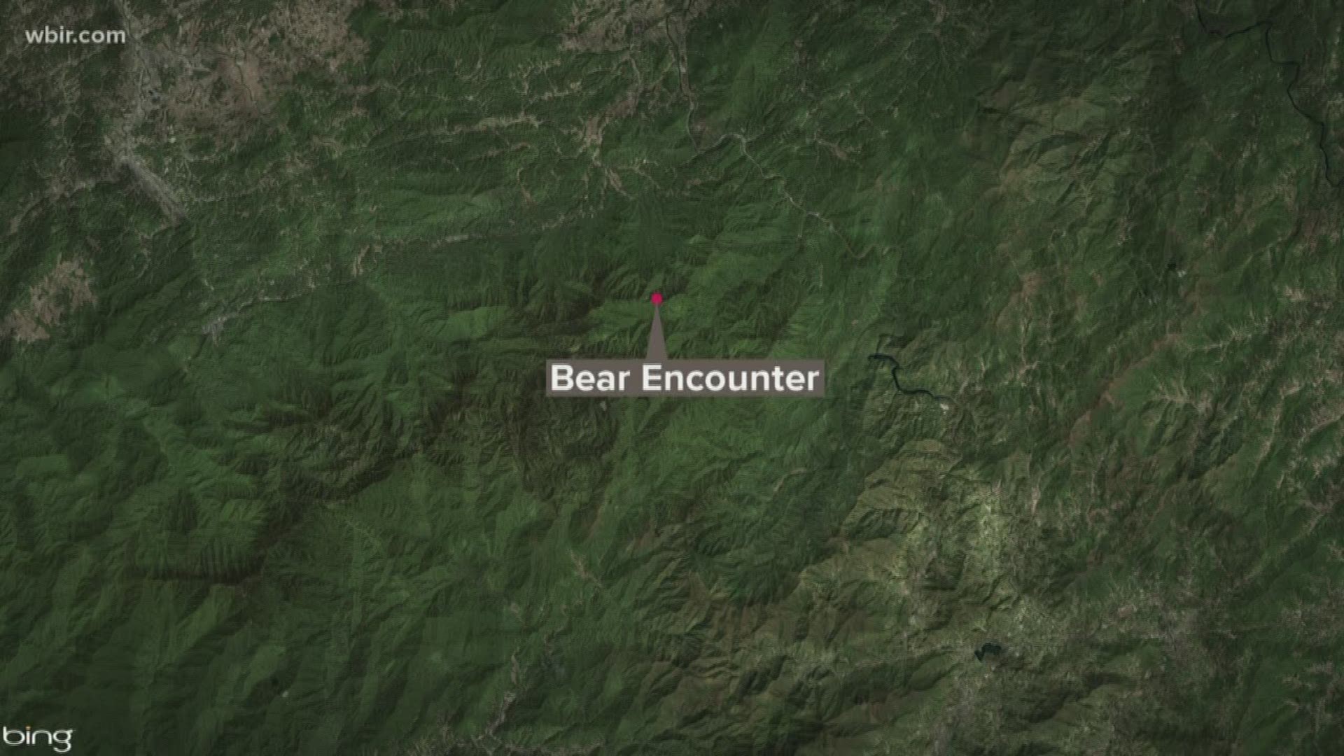 Park rangers say a woman had what they call an "unusual encounter with a bear" in an area of the Smokies that meets with the Appalachian Trail.