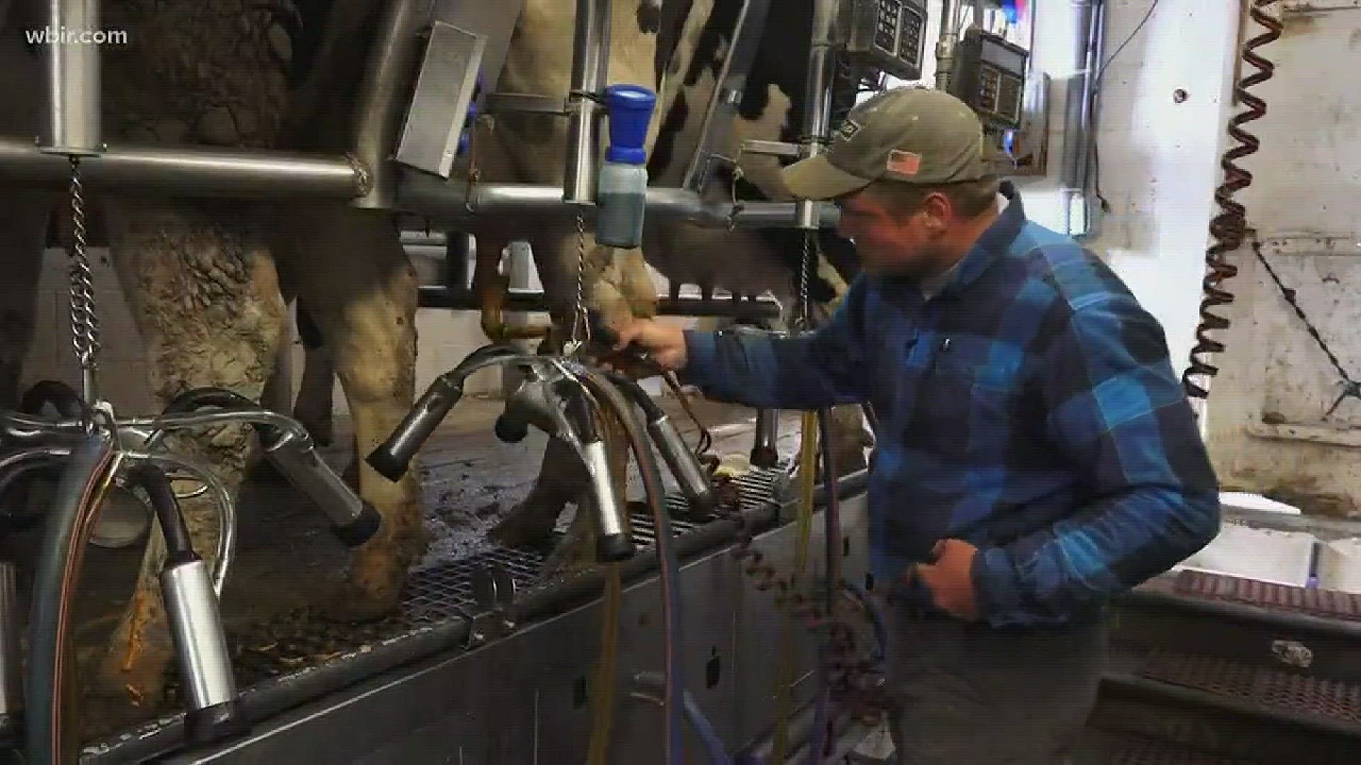 March 8, 2018: Some East Tennessee dairy producers say their farms are in jeopardy because there's currently too much milk on the market.