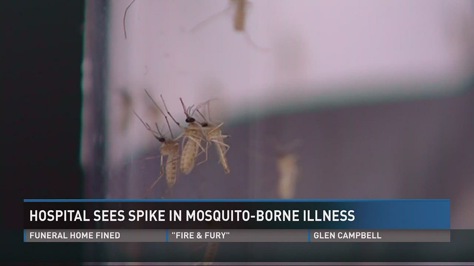 Aug. 8, 2017: East Tennessee Children's Hospital is seeing a spike in a brain-damaging virus carried by mosquitoes.
